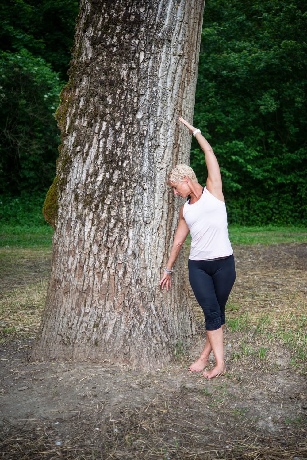 Wald Baum Yoga – Bollinger Furniere AG