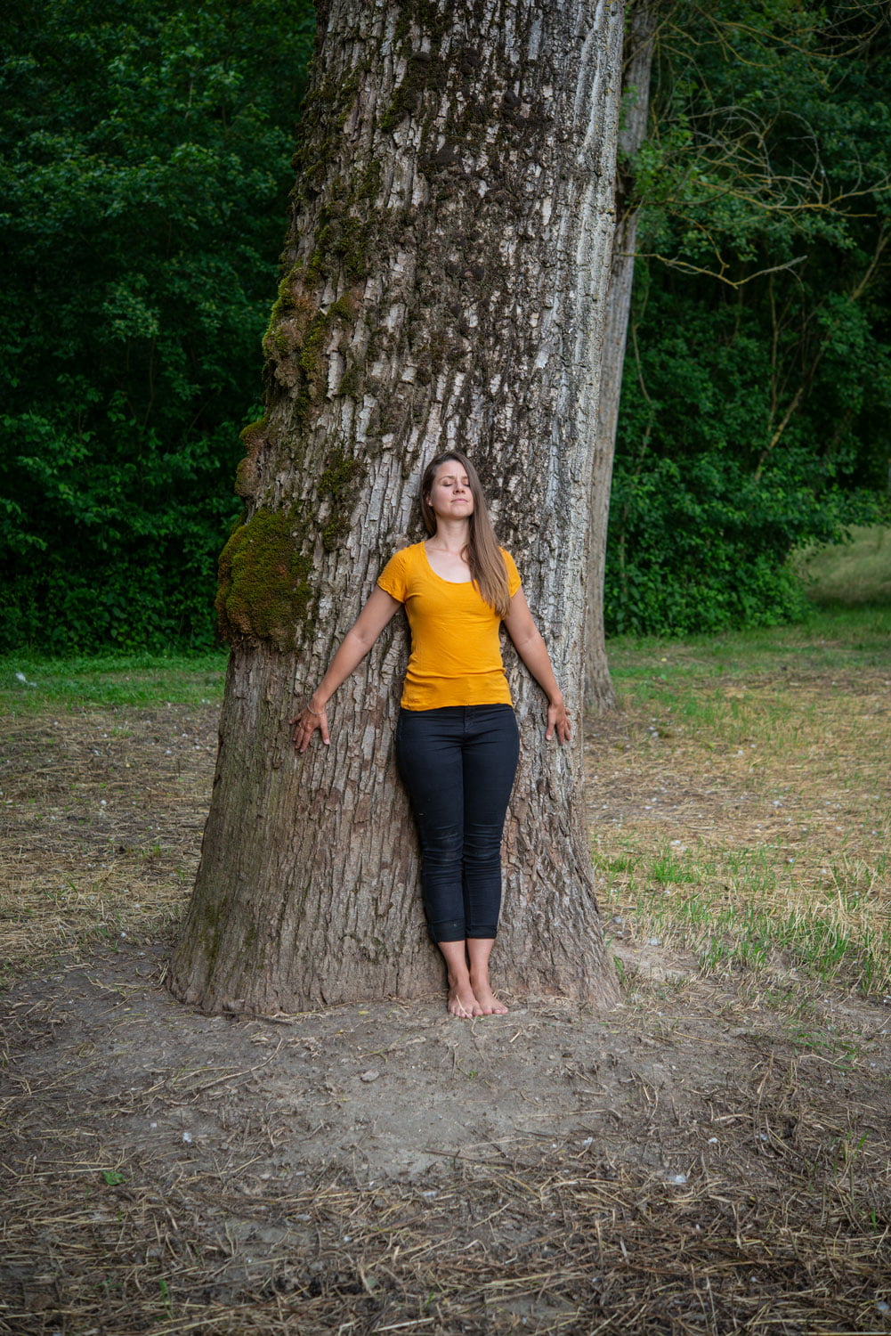 Wald Baum Yoga – Bollinger Furniere AG