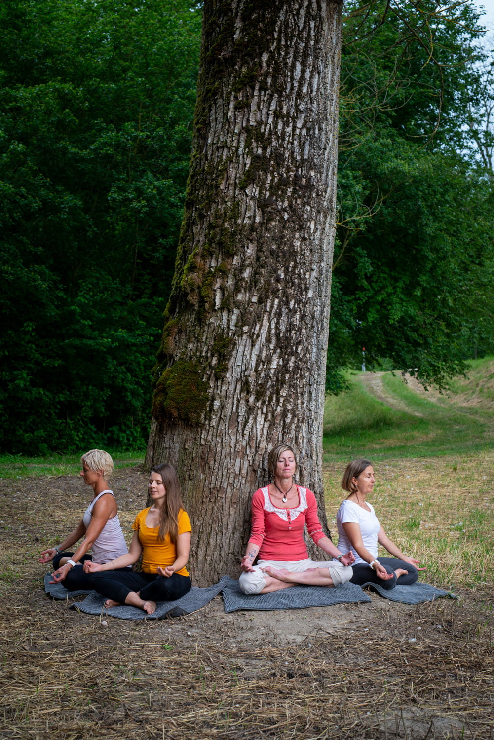 Wald Baum Yoga – Bollinger Furniere AG