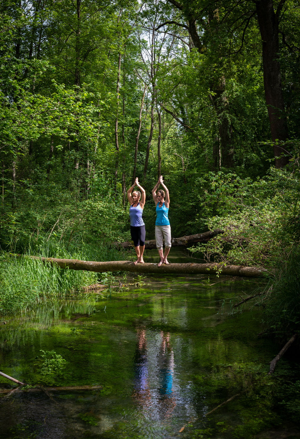 Yoga in der Natur, Bäume