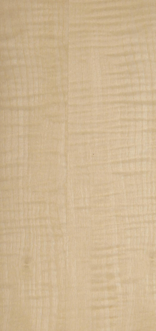 Ahorn-Furnier – Bollinger Furniere AG
