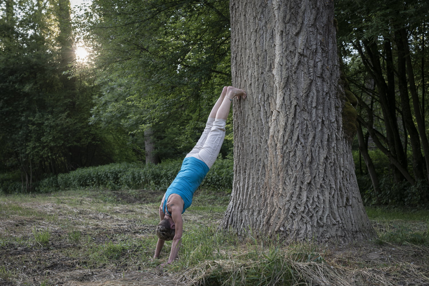 Bollinger Furniere Yoga