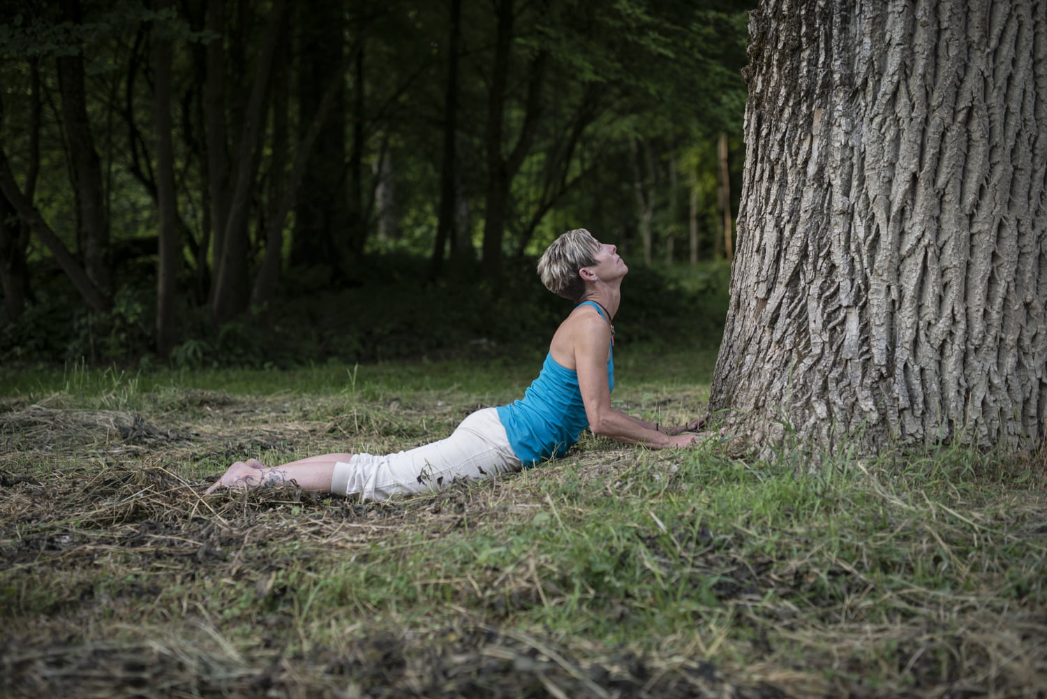 Bollinger Furniere Yoga