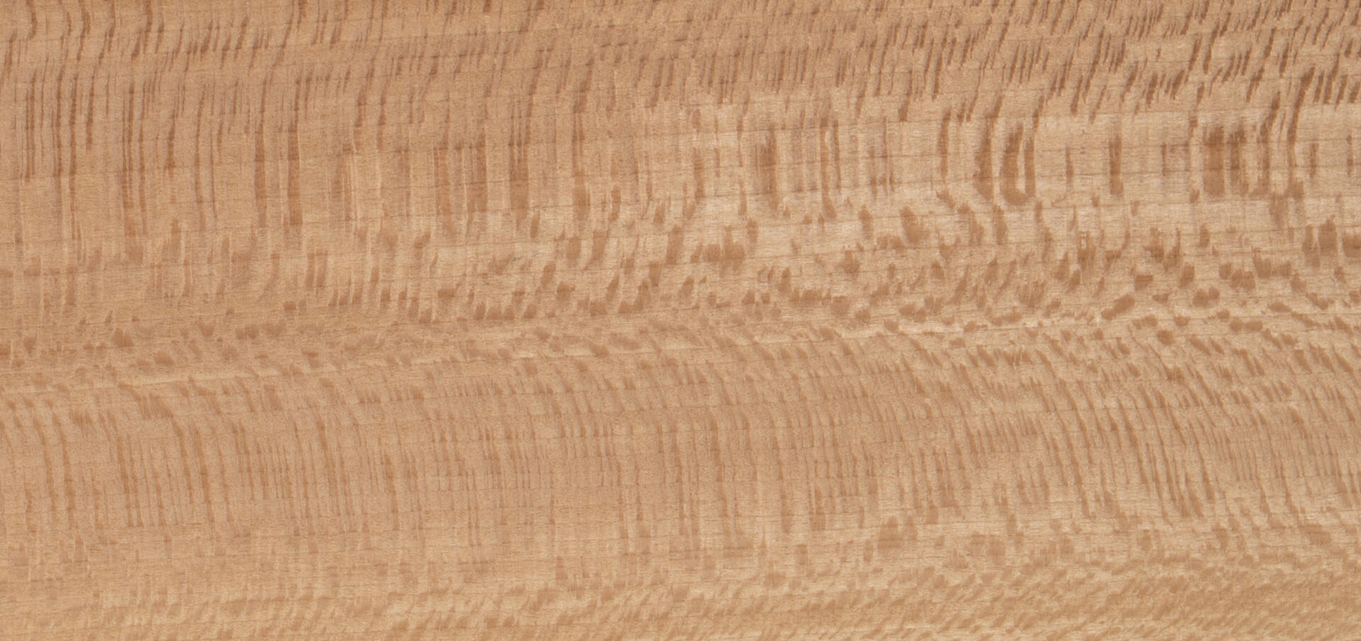 Platane Furnier