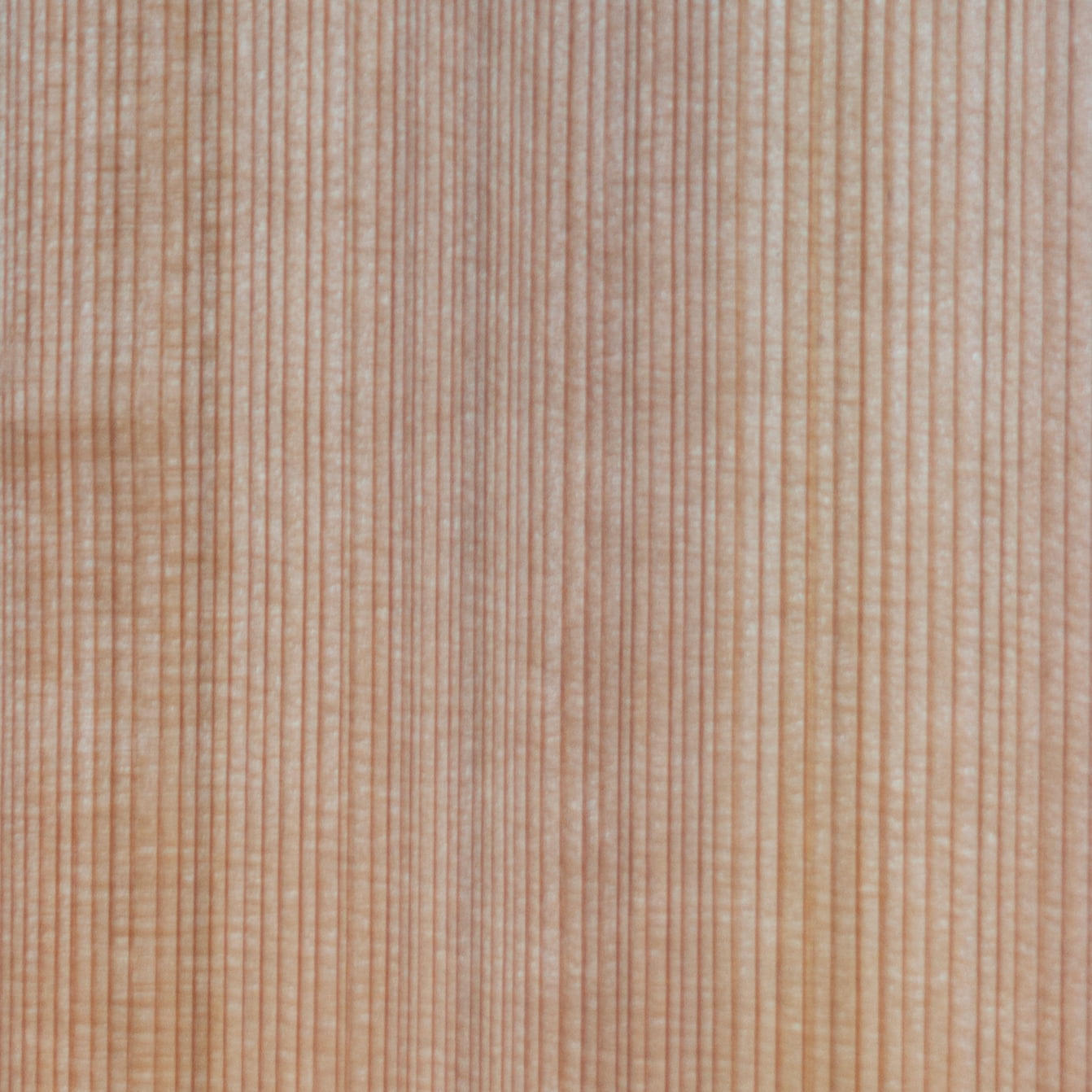 Sugi Zederfurnier